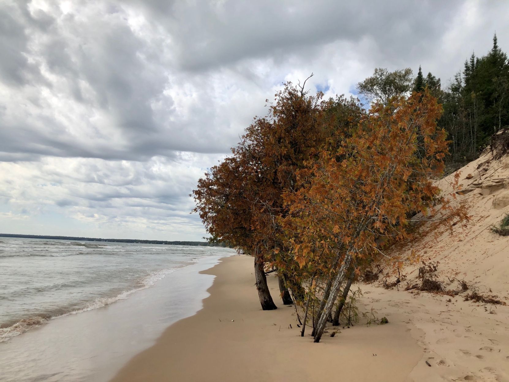 Whitefish Dunes State Park